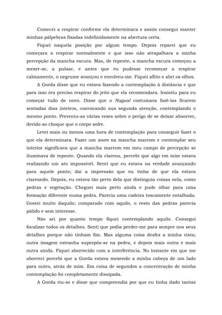 Comecei a respirar conforme ela determinara e assim consegui manter
minhas pálpebras fixadas indefinidamente na abertura certa.
Fiquei naquela posição por algum tempo. Depois reparei que eu
começara a respirar normalmente e que isso não atrapalhara a minha
percepção da mancha escura. Mas, de repente, a mancha escura começou a
mexer-se, a pulsar, e antes que eu pudesse recomeçar a respirar
calmamente, o negrume avançou e envolveu-me. Fiquei aflito e abri os olhos.
A Gorda disse que eu estava fazendo a contemplação à distância e que
para isso era preciso respirar do jeito que ela recomendara. Insistiu para eu
começar tudo de novo. Disse que o Nagual costumava fazê-las ficarem
sentadas dias inteiros, convocando sua segunda atenção, contemplando o
mesmo ponto. Preveniu-as várias vezes sobre o perigo de se deixar absorver,
devido ao choque que o corpo sofre.
Levei mais ou menos uma hora de contemplação para conseguir fazer o
que ela determinara. Fazer um zoom na mancha marrom e contemplar seu
interior significava que a mancha marrom em meu campo de percepção se
iluminava de repente. Quando ela clareou, percebi que algo em mim estava
realizando um ato impossível. Senti que eu estava na verdade avançando
para aquele ponto; daí a impressão que eu tinha de que ela estava
clareando. Depois, eu estava tão perto dela que distinguia coisas nela, como
pedras e vegetação. Cheguei mais perto ainda e pude olhar para uma
formação diferente numa pedra. Parecia uma cadeira toscamente entalhada.
Gostei muito daquilo; comparado com aquilo, o resto das pedras parecia
pálido e sem interesse.
Não sei por quanto tempo fiquei contemplando aquilo. Consegui
focalizar todos os detalhes. Senti que podia perder-me para sempre nos seus
detalhes porque não tinham fim. Mas alguma coisa desfez a minha vista;
outra imagem estranha superpôs-se na pedra, e depois mais outra e mais
outra ainda. Fiquei aborrecido com a interferência. No instante em que me
aborreci percebi que a Gorda estava mexendo a minha cabeça de um lado
para outro, atrás de mim. Em coisa de segundos a concentração de minha
contemplação foi completamente dissipada.
A Gorda riu-se e disse que compreendia por que eu tinha dado tantas
 