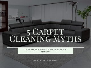 5 Carpet
Cleaning Myths
T H A T M A K E C A R P E T M A I N T E N A N C E A
M I S E R Y
w w w . s t e a m e x t o l e d o . c o m
 