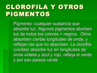 CLOROFILA Y OTROS PIGMENTOS Pigmento: cualquier sustancia que absorbe luz. Algunos pigmentos aborben luz de todos los colores = negros.  Otros absorben ciertas longitudes de onda, y reflejan las que no absorben. La clorofila (verdes) absorbe luz en longitudes de onda violeta y azul y rojo, refleja el verde y por eso parece verde 