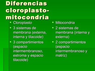 Diferencias cloroplasto-mitocondria Cloroplasto 3 sistemas de membrana (externa, interna y tilacoide) 3 compartimientos (espacio intermembranoso, estroma y espacio tilacoide) Mitocondria 2 sistemas de membrana (interna y externa) 2 compartimientos (espacio intermembranoso y matriz) 