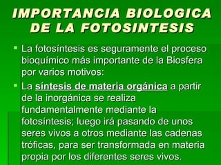 IMPORTANCIA   BIOLOGICA   DE   LA   FOTOSINTESIS La fotosíntesis es seguramente el proceso bioquímico más importante de la Biosfera por varios motivos:  La  síntesis de materia orgánica  a partir de la inorgánica se realiza fundamentalmente mediante la fotosíntesis; luego irá pasando de unos seres vivos a otros mediante las cadenas tróficas, para ser transformada en materia propia por los diferentes seres vivos.  
