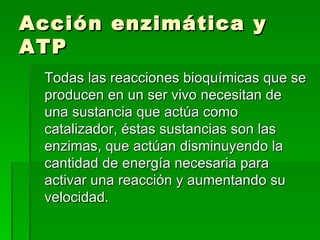 Acción enzimática y ATP Todas las reacciones bioquímicas que se producen en un ser vivo necesitan de una sustancia que actúa como catalizador, éstas sustancias son las enzimas, que actúan disminuyendo la cantidad de energía necesaria para activar una reacción y aumentando su velocidad. 