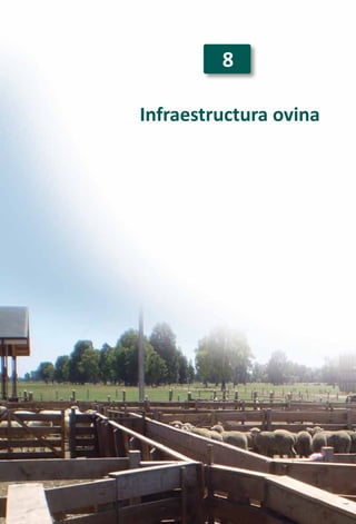 157
Infraestructura ovina
8
 