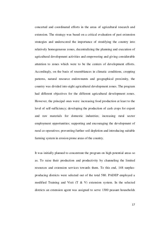 theme parks essay anaheim