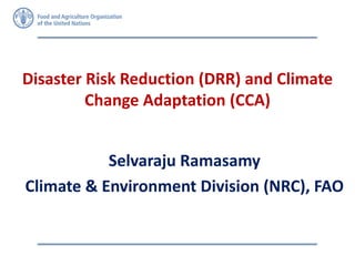 Disaster Risk Reduction (DRR) and Climate
Change Adaptation (CCA)
Selvaraju Ramasamy
Climate & Environment Division (NRC), FAO
 