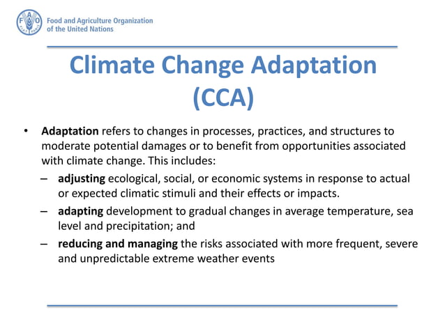 Disaster Risk Reduction (DRR) and Climate Change Adaptation (CCA) | PDF ...