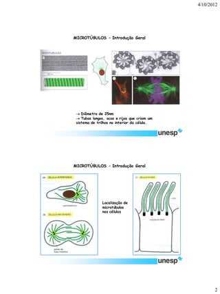 4/10/2012 
2 
Diâmetro de 25nm 
Tubos longos, ocos e rijos que criam um sistema de trilhos no interior da célula. 
MICROTÚBULOS –Introdução Geral 
Localização de microtúbulos nas células 
MICROTÚBULOS –Introdução Geral  