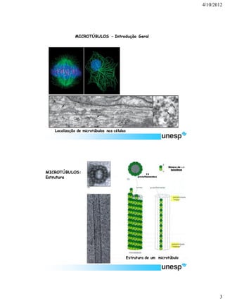 4/10/2012 
3 
Localização de microtúbulos nas células 
MICROTÚBULOS –Introdução Geral 
MICROTÚBULOS: 
Estrutura 
Estrutura de um microtúbulo 
13 protofilamentos 
Dímero de - tubulinas  