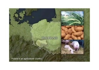 Poland is an agricultural country
 
