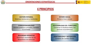 ORIENTACIONES ESTRATÉGICAS
GESTIÓN INTEGRAL
Sistemas resistentes y resilientes
INTERÉS SOCIAL
Primar el bien común
SOSTENI...