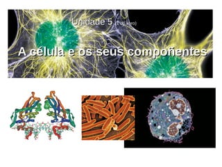 A célula e os seus compoñentesA célula e os seus compoñentes
Unidade 5Unidade 5 (1 do libro)(1 do libro)
 