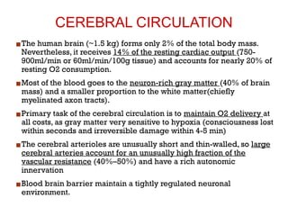 Comprehensive Overview of Cerebral Circulation and Vascular Physiology ...