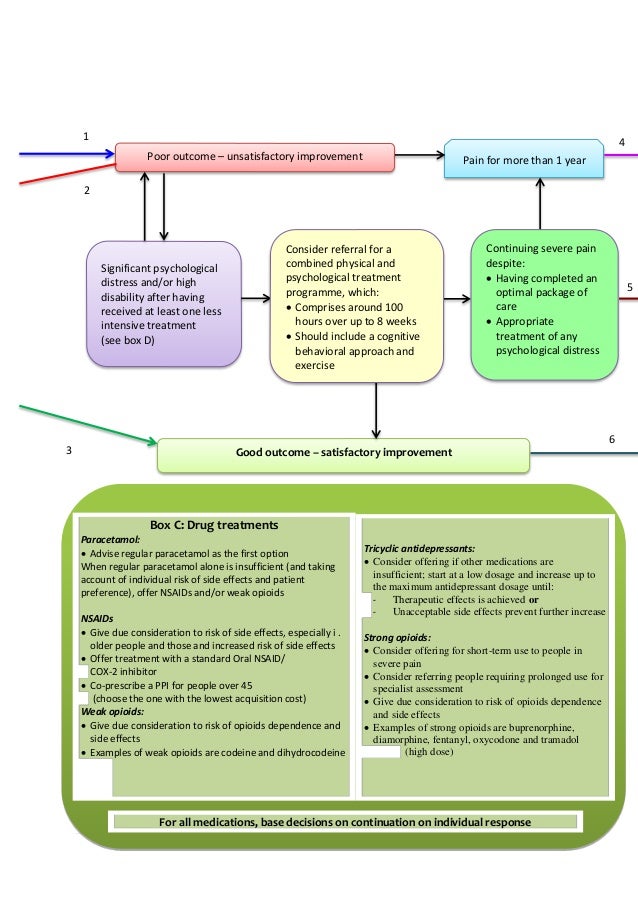 Low Back Pain Clinical Practice Guideline