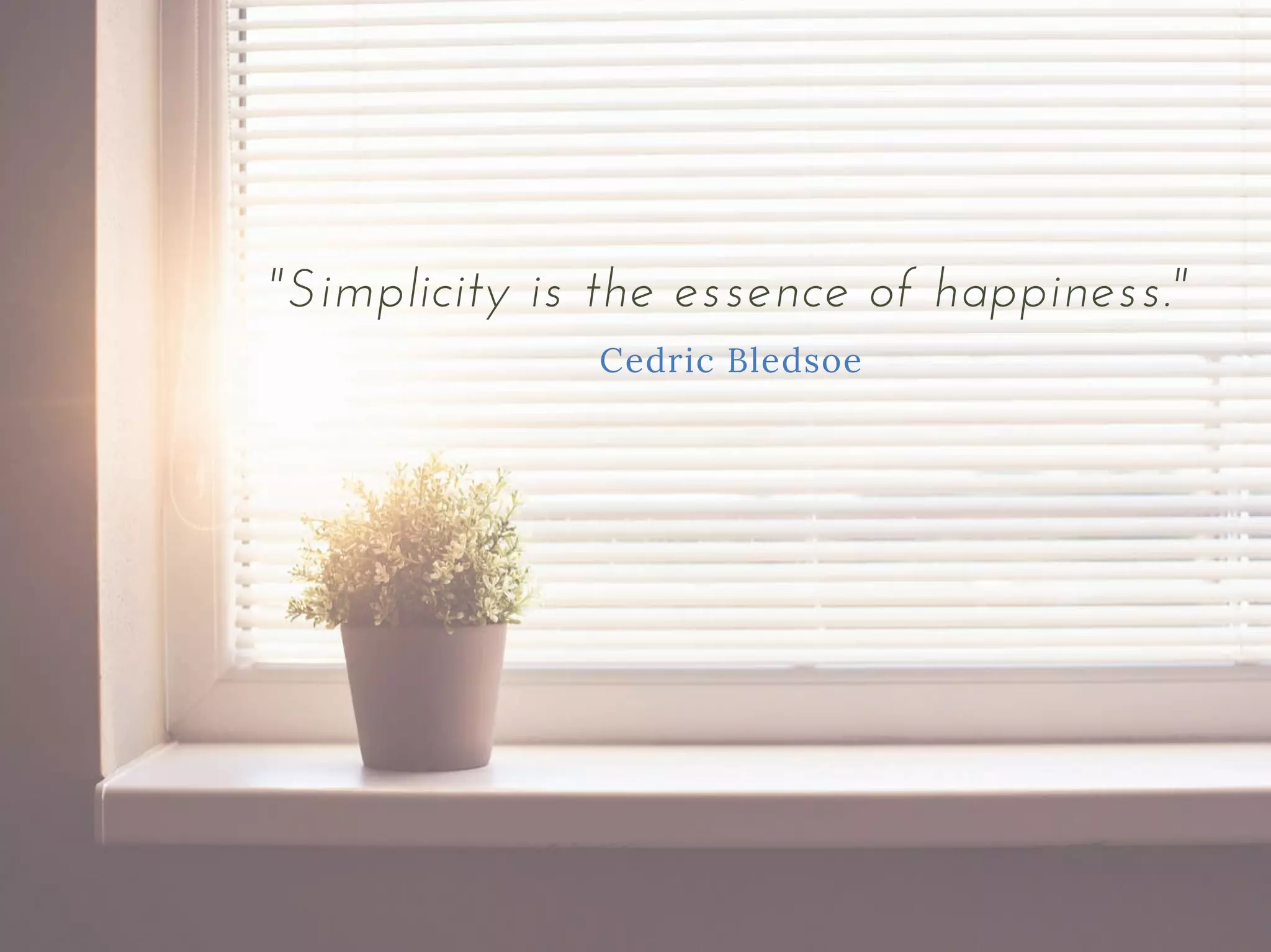 "Simplicity is the essence of happiness."
Cedric Bledsoe
 