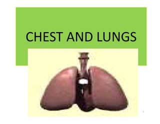 CHEST AND LUNGS
1
 