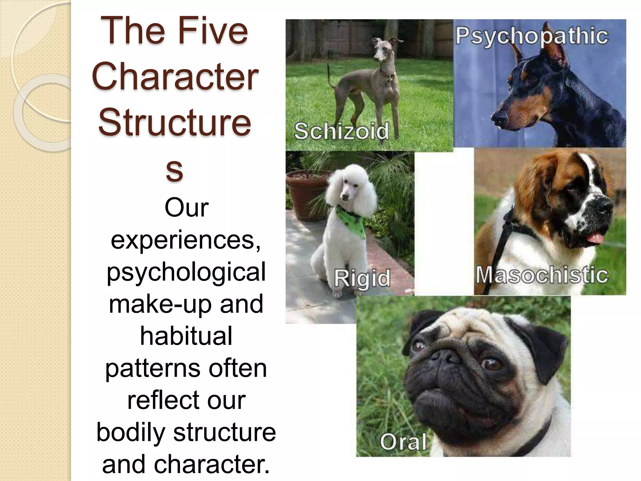The Five Major Character Structures | PPSX