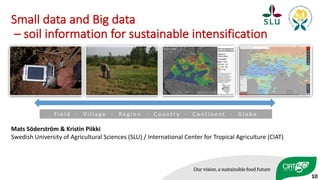 F i e l d 	 	 - V i l l a g e 	 	 - Re g i o n 	 	 - C o u n t r y 	 	 - C o n t i n e n t 	 	 - G l o b e
Small	data	and	Big	data
– soil	information	for	sustainable	intensification
Mats	Söderström	&	Kristin	Piikki
Swedish	University	of	Agricultural	Sciences	(SLU)	/	International	Center	for	Tropical	Agriculture	(CIAT)
10
 