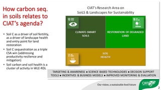 2
How	carbon	seq.	
in	soils	relates	to	
CIAT’s	agenda?
• Soil	C	as	a	driver	of	soil	fertility,	
as	a	driver	of	landscape	health	
and	entry	point	for	land	
restoration
• Soil	C	sequestration	as	a	triple	
CSA	win	(addressing	
productivity	resilience	and	
mitigation)
• Soil	carbon	and	soil	health	is	a	
cluster	of	activity	in	WLE-RDL
 
