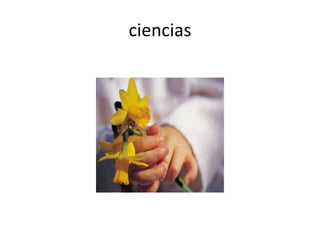 ciencias
 