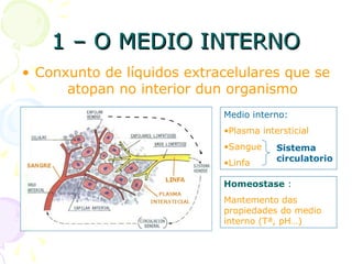 1 – O MEDIO INTERNO1 – O MEDIO INTERNO
• Conxunto de líquidos extracelulares que se
atopan no interior dun organismo
Medio interno:
•Plasma intersticial
•Sangue
•Linfa
Sistema
circulatorio
Homeostase :
Mantemento das
propiedades do medio
interno (Tª, pH…)
 