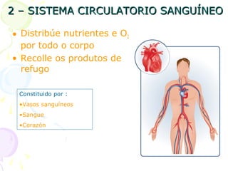 2 – SISTEMA CIRCULATORIO SANGUÍNEO2 – SISTEMA CIRCULATORIO SANGUÍNEO
• Distribúe nutrientes e O2
por todo o corpo
• Recolle os produtos de
refugo
Constituido por :
•Vasos sanguíneos
•Sangue
•Corazón
 