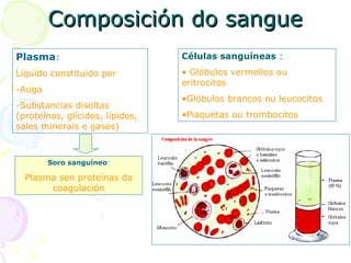 Composición do sangueComposición do sangue
Plasma:
Líquido constituido por
-Auga
-Substancias disoltas
(proteínas, glícidos, lípidos,
sales minerais e gases)
Células sanguíneas :
• Glóbulos vermellos ou
eritrocitos
•Glóbulos brancos ou leucocitos
•Plaquetas ou trombocitos
Soro sanguíneo:
Plasma sen proteínas da
coagulación
 