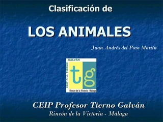 Clasificación de LOS ANIMALES   CEIP Profesor Tierno Galván Rincón de la Victoria - Málaga Juan Andrés del Pozo Martín   