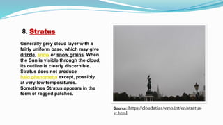 Stratus Forming 5CLOUDS ppt MSc 2nd semester (shivanjali chaurasia).pptx