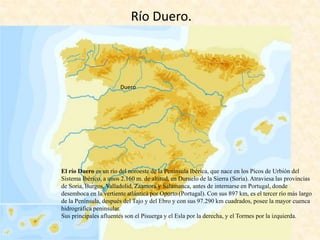 Río Duero.

Duero

El río Duero es un río del noroeste de la Península Ibérica, que nace en los Picos de Urbión del
Sistema Ibérico, a unos 2.160 m. de altitud, en Duruelo de la Sierra (Soria). Atraviesa las provincias
de Soria, Burgos, Valladolid, Zaamora y Salamanca, antes de internarse en Portugal, donde
desemboca en la vertiente atlántica por Oporto (Portugal). Con sus 897 km, es el tercer río más largo
de la Península, después del Tajo y del Ebro y con sus 97.290 km cuadrados, posee la mayor cuenca
hidrográfica peninsular.
Sus principales afluentes son el Pisuerga y el Esla por la derecha, y el Tormes por la izquierda.

 