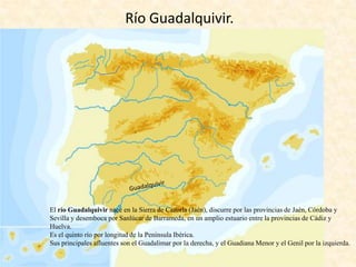 Río Guadalquivir.

El río Guadalquivir nace en la Sierra de Cazorla (Jaén), discurre por las provincias de Jaén, Córdoba y
Sevilla y desemboca por Sanlúcar de Barrameda, en un amplio estuario entre la provincias de Cádiz y
Huelva.
Es el quinto río por longitud de la Península Ibérica.
Sus principales afluentes son el Guadalimar por la derecha, y el Guadiana Menor y el Genil por la izquierda.

 