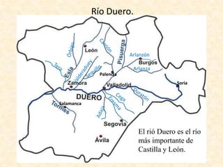Río Duero.

Arlanzón
Arlanza
Palencia
Soria

Salamanca

El rió Duero es el río
más importante de
Castilla y León.

 