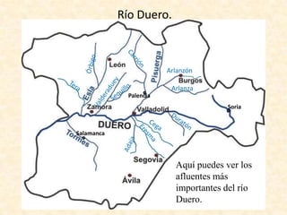 Río Duero.

Arlanzón
Arlanza
Palencia
Soria

Salamanca

Aquí puedes ver los
afluentes más
importantes del río
Duero.

 