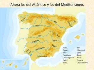 Ahora los del Atlántico y los del Mediterráneo.

Ter
Duero

Tajo
Júcar

Guadalhorce

Miño.
Duero.
Tajo.
Guadiana.
Guadalquivir.
Odiel.
Tinto.

Ter.
Llobregat
Ebro.
Turia.
Júcar.
Segura.
Guadalhorce.

 