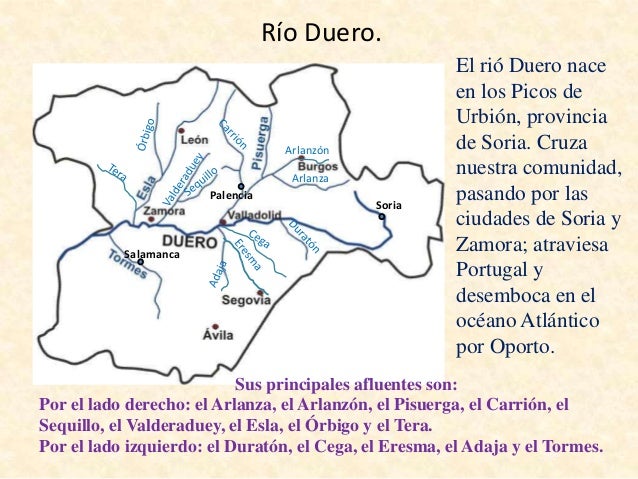 Donde Nace Y Desemboca El Rio Turia