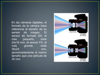En las cámaras digitales, el
formato de la cámara hace
referencia al tamaño de su
sensor de imagen. El
sensor de formato DX, el
más pequeño, mide
24x16 mm; el sensor FX, el
más grande, mide
36x24 mm,
aproximadamente el mismo
tamaño que una película de
35 mm.
 