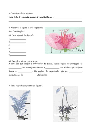 5. Completa a frase seguinte:
Uma folha é completa quando é constituída por:___________________________
________________________________________________________________________________
6. Observa a figura 3 que representa
uma flor completa.
6.1. Faz a legenda da figura 3.
1__________________
2__________________
3__________________
4__________________
5__________________
6__________________
6.2. Completa a frase que se segue.
A flor tem por função a reprodução da planta. Possui órgãos de protecção: as
____________ que no conjunto formam o _____________ e as pétalas, cujo conjunto
forma a _____________. Os órgãos de reprodução são os ____________,
masculinos, e os _____________, femininos.
7. Faz a legenda das plantas da figura 4.
Fig.3
 