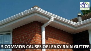 5 COMMON CAUSES OF LEAKY RAIN GUTTER
 