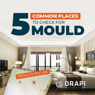 TO CHECK FOR
COMMON PLACES
5MOULD
Before It’s Too Late
 