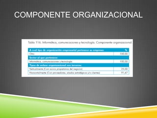 COMPONENTE ORGANIZACIONAL
 