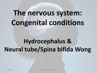 The nervous system:
Congenital conditions
Hydrocephalus &
Neural tube/Spina bifida Wong
4/20/2018 Compiled by C Settley 1
 