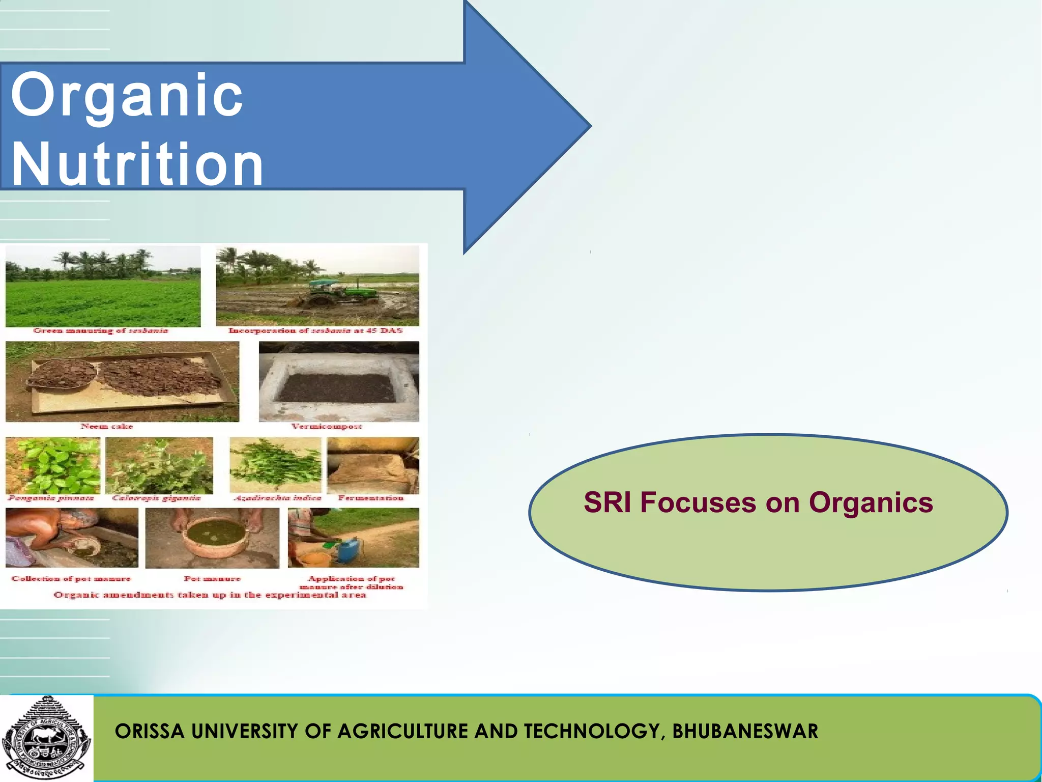 Organic
Nutrition




                                          SRI Focuses on Organics




   ORISSA UNIVERSITY OF AGRICULTURE AND TECHNOLOGY, BHUBANESWAR
 