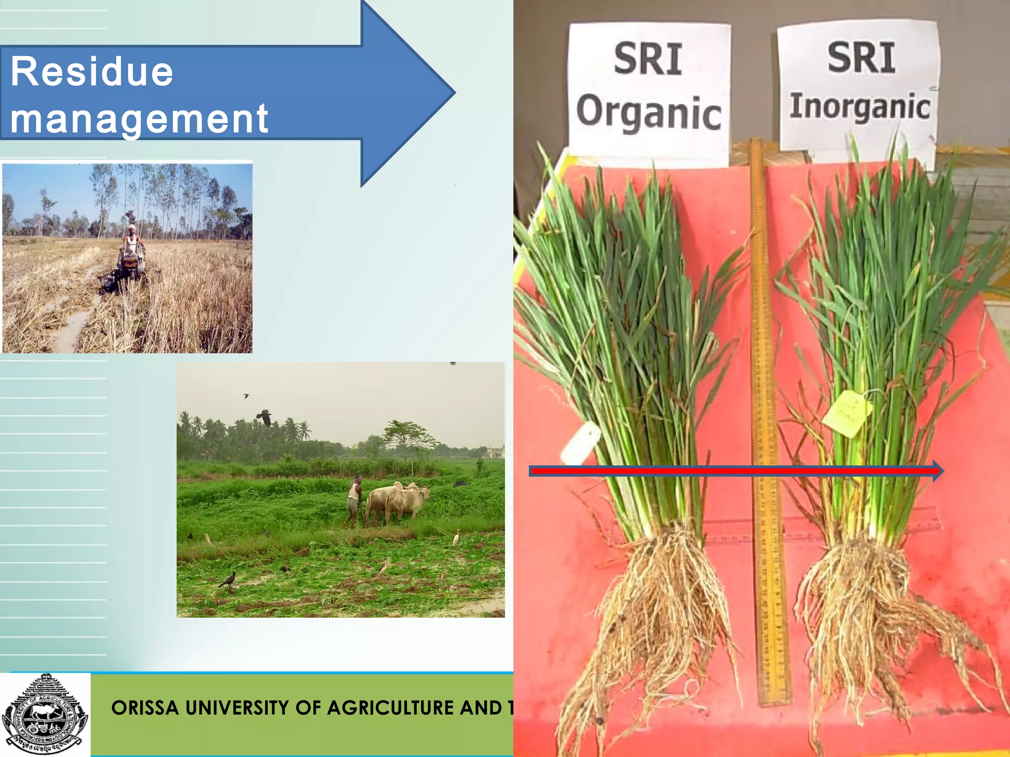 Residue
management




   ORISSA UNIVERSITY OF AGRICULTURE AND TECHNOLOGY, BHUBANESWAR
 