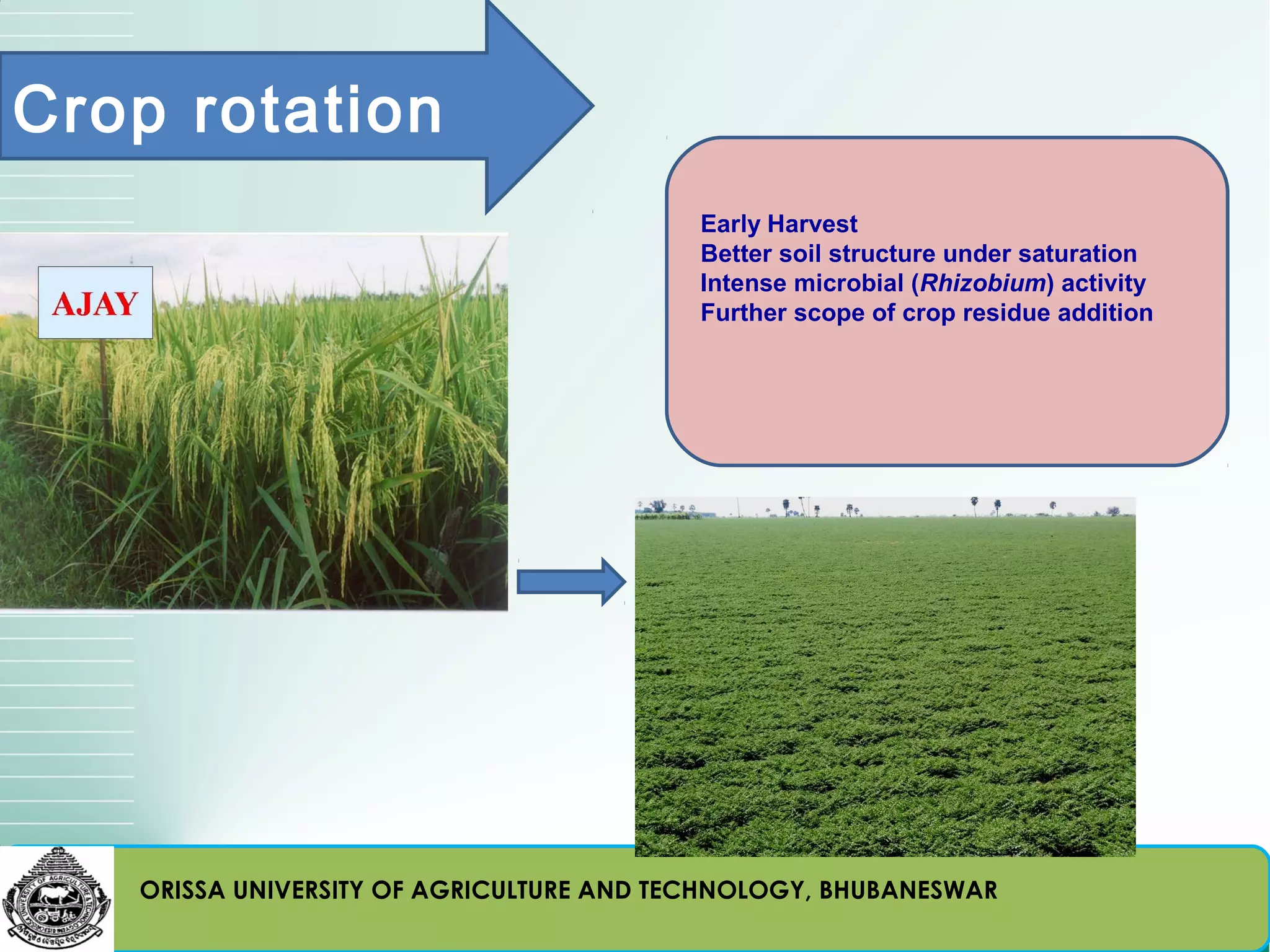 Crop rotation
                                          Early Harvest
                                          Better soil structure under saturation
                                          Intense microbial (Rhizobium) activity
                                          Further scope of crop residue addition




   ORISSA UNIVERSITY OF AGRICULTURE AND TECHNOLOGY, BHUBANESWAR
 