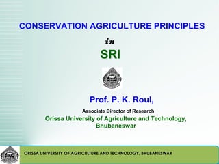 CONSERVATION AGRICULTURE PRINCIPLES
                               in
                              SRI


                          Prof. P. K. Roul,
                       Associate Director of Research
        Orissa University of Agriculture and Technology,
                         Bhubaneswar



ORISSA UNIVERSITY OF AGRICULTURE AND TECHNOLOGY, BHUBANESWAR
 