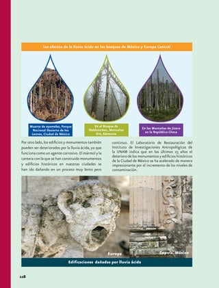 Los efectos de la lluvia ácida en los bosques de México y Europa Central




      Muerte de oyameles, Parque             En el Bosque de
                                          Waldsterben, Montañas           En las Montañas de Jizera
        Nacional Desierto de los                                            en la República Checa
       Leones, Ciudad de México               Ore, Alemania

Por otro lado, los edificios y monumentos también       continuo. El Laboratorio de Restauración del
pueden ser deteriorados por la lluvia ácida, ya que     Instituto de Investigaciones Antropológicas de
funciona como un agente corrosivo. El mármol y la       la UNAM indica que en los últimos 25 años el
                                                        deterioro de los monumentos y edificios históricos
cantera con la que se han construido monumentos         de la Ciudad de México se ha acelerado de manera
y edificios históricos en nuestras ciudades se          impresionante por el incremento de los niveles de
han ido dañando en un proceso muy lento pero            contaminación.




                                                      Europa                         Copola, México




128
 