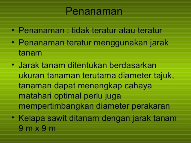 Penanaman kelapa sawit pdf