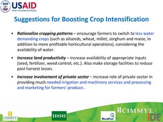 Boosting Crop Intensification in Southern Bangladesh: How can surface water irrigation be done at scale? 