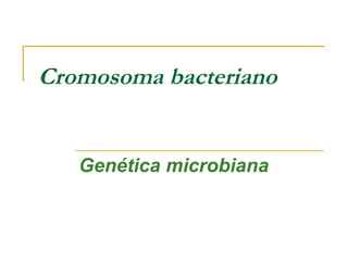 Cromosoma bacteriano
Genética microbiana
 