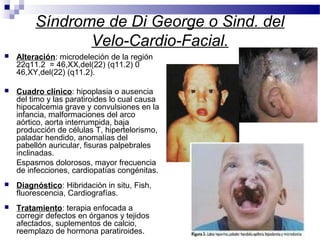 Síndrome de Di George o Sind. del
Velo-Cardio-Facial.
 Alteración: microdeleción de la región
22q11.2 = 46,XX,del(22) (q11.2) 0
46,XY,del(22) (q11.2).
 Cuadro clínico: hipoplasia o ausencia
del timo y las paratiroides lo cual causa
hipocalcemia grave y convulsiones en la
infancia, malformaciones del arco
aórtico, aorta interrumpida, baja
producción de células T, hipertelorismo,
paladar hendido, anomalías del
pabellón auricular, fisuras palpebrales
inclinadas.
Espasmos dolorosos, mayor frecuencia
de infecciones, cardiopatías congénitas.
 Diagnóstico: Hibridación in situ, Fish,
fluorescencia, Cardiografías.
 Tratamiento: terapia enfocada a
corregir defectos en órganos y tejidos
afectados, suplementos de calcio,
reemplazo de hormona paratiroides.
 