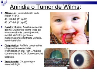 Aniridia o Tumor de Wilms:
 Alteración: microdeleción de la
región 11p13.
46, XX del (11)(p13)
46 ,XY del (11)(p13)
 Cuadro clínico: Aniridia (ausencia
del iris) , tumor de Wilms (,tipo de
tumor renal más común) retardo
mental, defectos genitales,
malformaciones del tracto urinario,
hemihipertrofia.
 Diagnóstico: Análisis con pruebas
citogenéticas avanzadas
(Hibridación in situ, Fish), Análisis
con sondas de ADN (fluorescencia).
Biopsias.
 Tratamiento: Cirugía según
sintomatología.
 